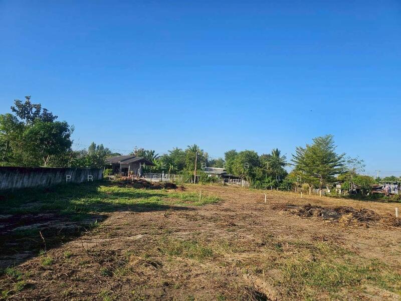 ขาย - ที่ดินบุ่งคล้า ชัยภูมิ, ชัยภูมิ