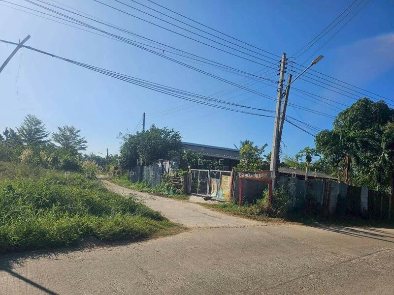 ขาย - ที่ดินบุ่งคล้า ชัยภูมิ, ชัยภูมิ