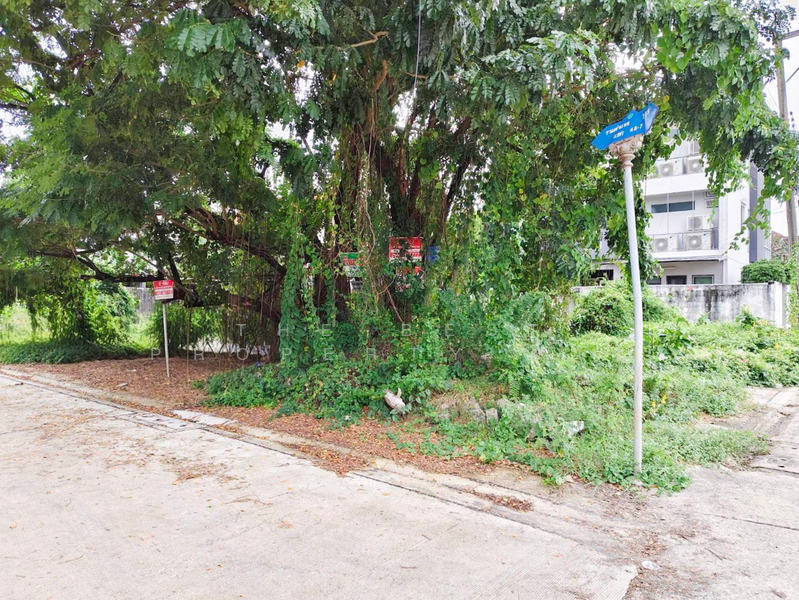 ขาย - Pruksachat Ramkhamhaeng 118 : พฤกษชาติ รามคำแหง 118, กรุงเทพ