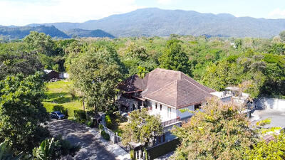 ขาย - Pran : ปรานต์, เชียงใหม่