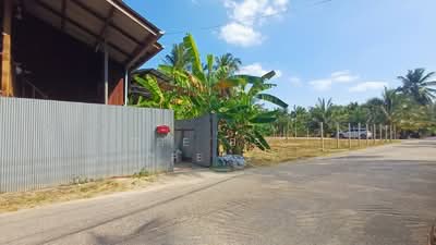 ขาย - ที่ดินบางคนที สมุทรสงคราม, สมุทรสงคราม