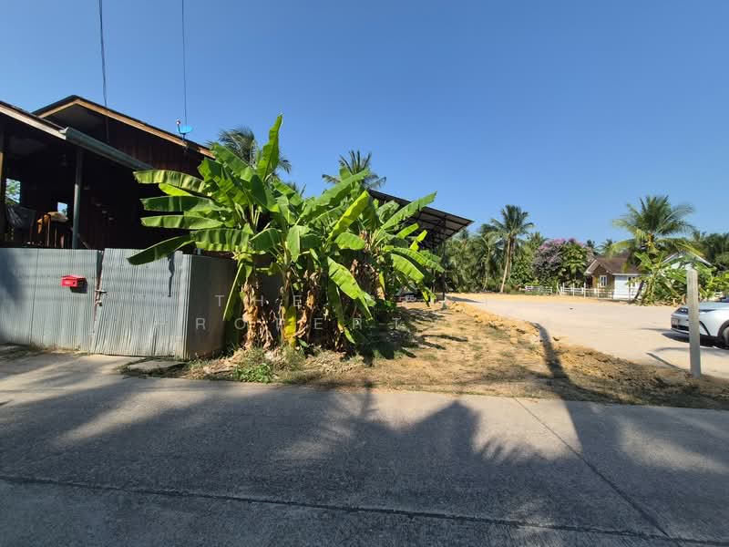 For Sale - ที่ดินบางคนที สมุทรสงคราม, Samut Songkhram