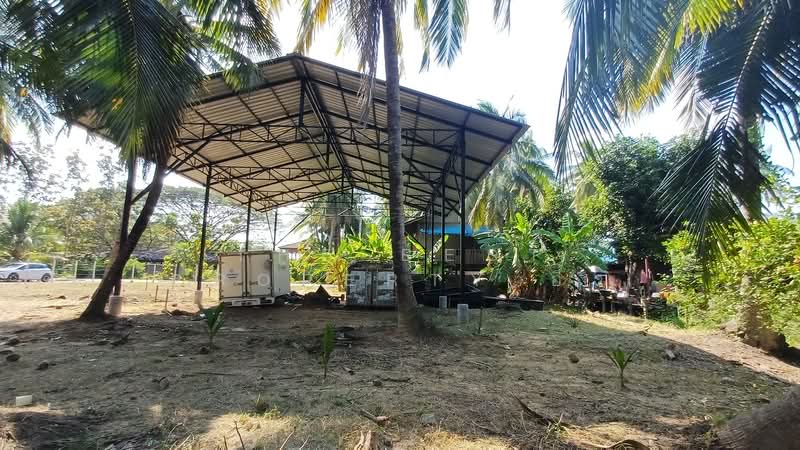 For Sale - ที่ดินบางคนที สมุทรสงคราม, Samut Songkhram