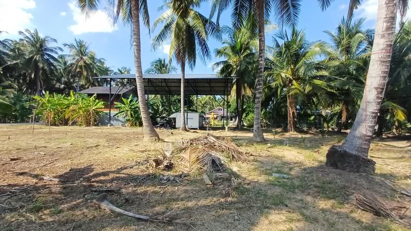 For Sale - ที่ดินบางคนที สมุทรสงคราม, Samut Songkhram