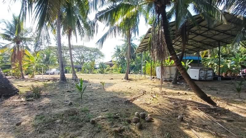 For Sale - ที่ดินบางคนที สมุทรสงคราม, Samut Songkhram