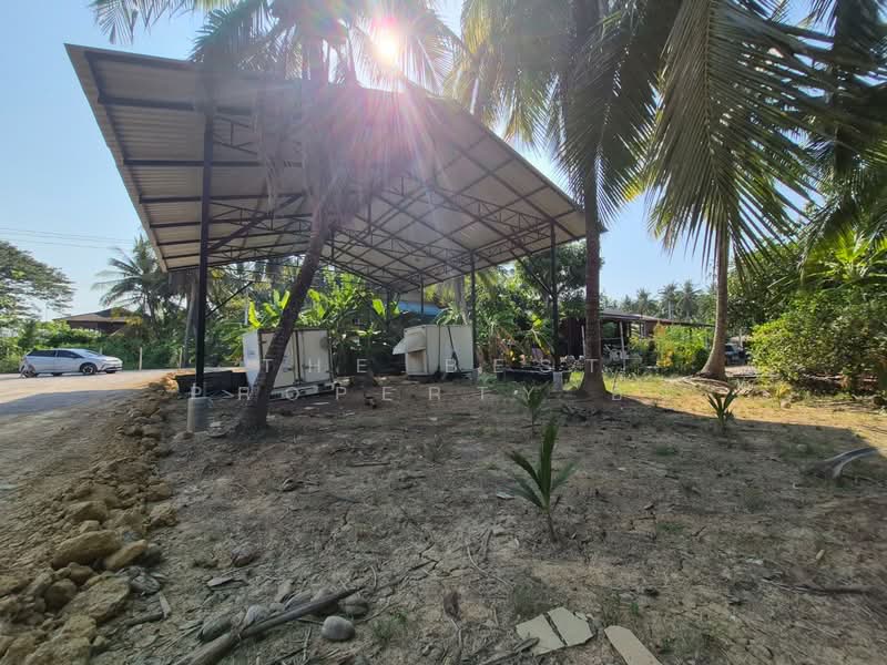 For Sale - ที่ดินบางคนที สมุทรสงคราม, Samut Songkhram
