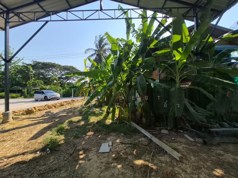 For Sale - ที่ดินบางคนที สมุทรสงคราม, Samut Songkhram