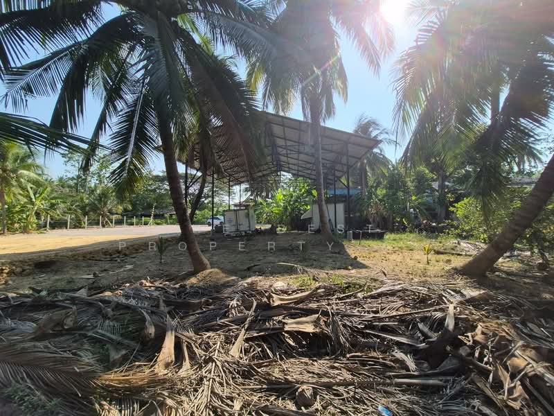 For Sale - ที่ดินบางคนที สมุทรสงคราม, Samut Songkhram