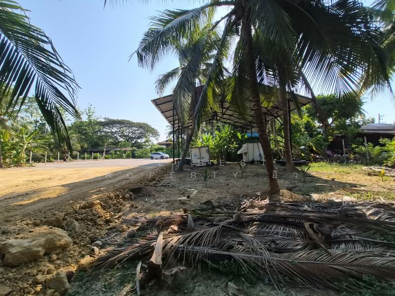 For Sale - ที่ดินบางคนที สมุทรสงคราม, Samut Songkhram