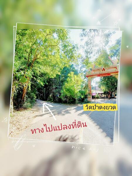 ขาย - ที่ดินนาข่า อุดรธานี, อุดรธานี