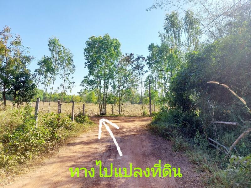 ขาย - ที่ดินนาข่า อุดรธานี, อุดรธานี