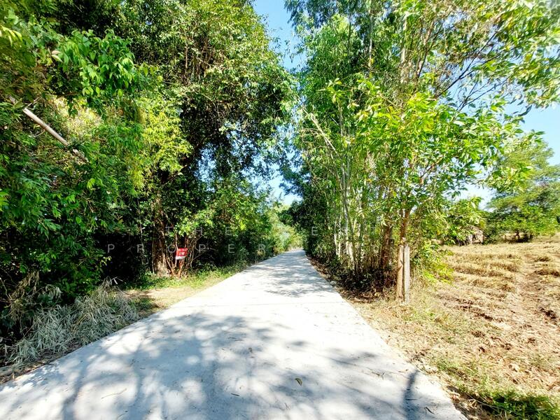 ขาย - ที่ดินนาข่า อุดรธานี, อุดรธานี