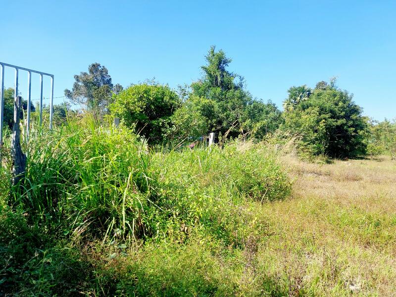 ขาย - ที่ดินนาข่า อุดรธานี, อุดรธานี