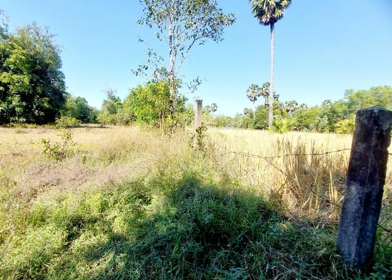 ขาย - ที่ดินนาข่า อุดรธานี, อุดรธานี