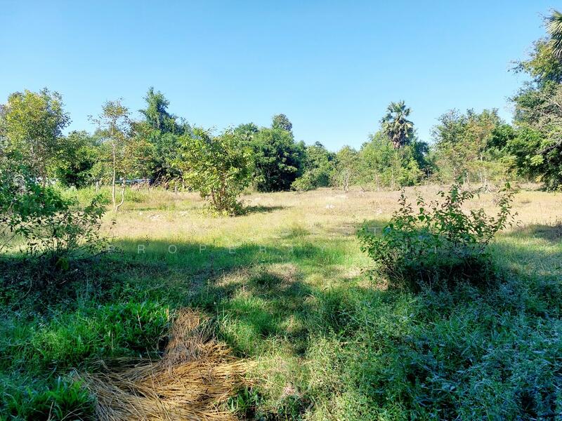 ขาย - ที่ดินนาข่า อุดรธานี, อุดรธานี