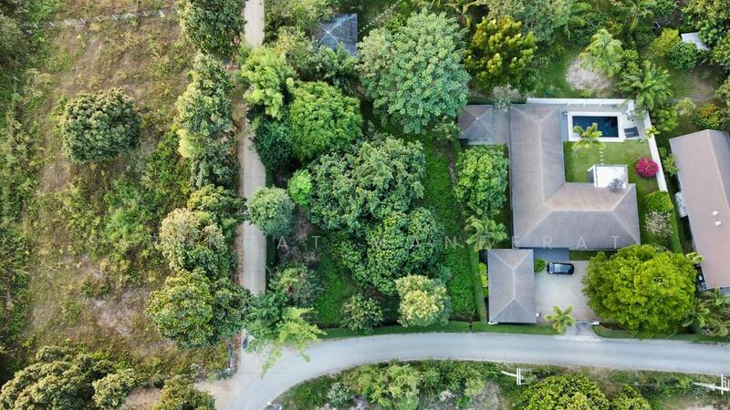 ขาย - ขายที่ดินแปลงสวย มีต้นไม้ใหญ่ร่มรื่น ล้อมรั้วสวยงาม ติดถนนสองด้านเหมาะทำบ้านพักสำหรับผู้ที่รักความเป, เชียงใหม่