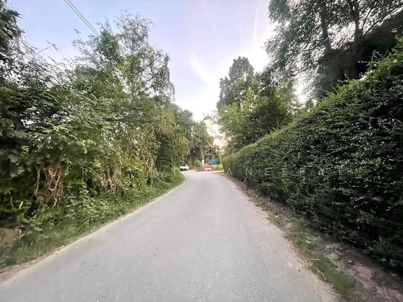 ขาย - ขายที่ดินแปลงสวย มีต้นไม้ใหญ่ร่มรื่น ล้อมรั้วสวยงาม ติดถนนสองด้านเหมาะทำบ้านพักสำหรับผู้ที่รักความเป, เชียงใหม่