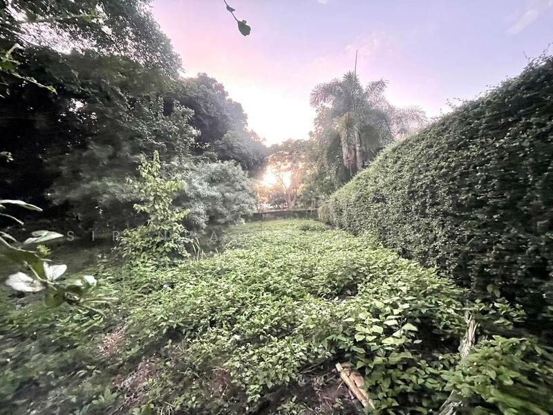 ขาย - ขายที่ดินแปลงสวย มีต้นไม้ใหญ่ร่มรื่น ล้อมรั้วสวยงาม ติดถนนสองด้านเหมาะทำบ้านพักสำหรับผู้ที่รักความเป, เชียงใหม่