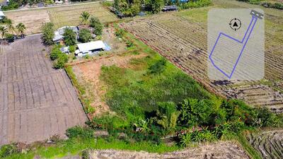 ขาย - แม่ฮ้อยเงิน, เชียงใหม่