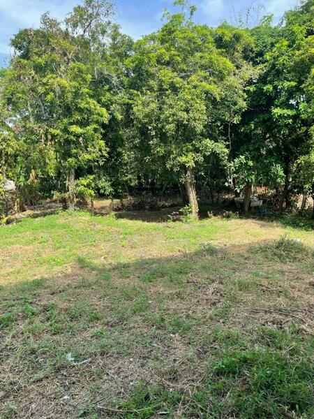 For Sale - ที่ดินบ้านลาด เพชรบุรี, Phetchaburi