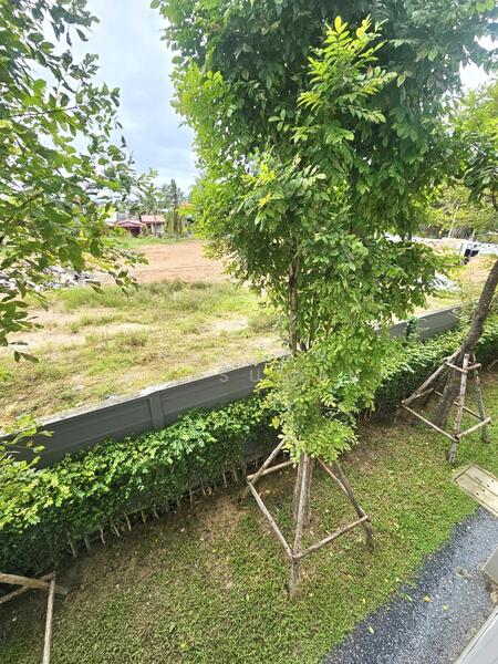 ให้เช่า - Dcondo Sand Hatyai : ดีคอนโด แซนด์ หาดใหญ่, สงขลา