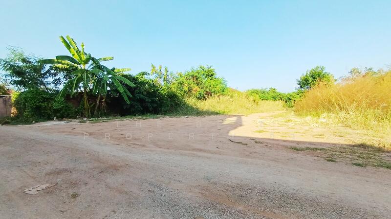 ขาย - ที่ดินดอนตะโก ราชบุรี, ราชบุรี