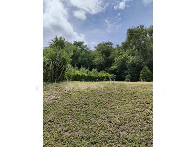 ขาย - ขายที่ดินพร้อมโฉนด 1-1-32 ตร.ว. อ.ปากช่อง จ.นครราชสีมา ทำเลดี บรรยากาศร่มรื่น ด้านหลังติดภูเขา, นครราชสีมา