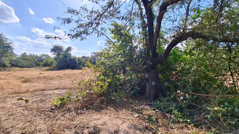 For Sale - ที่ดินสีแก้ว ร้อยเอ็ด, Roi Et