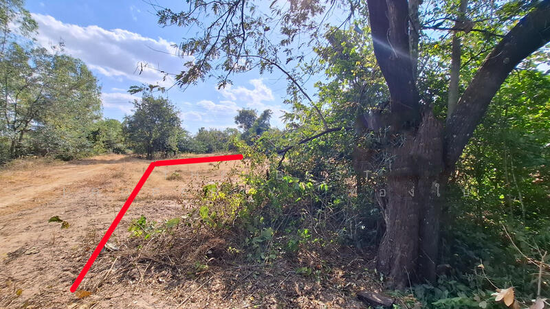 For Sale - ที่ดินสีแก้ว ร้อยเอ็ด, Roi Et