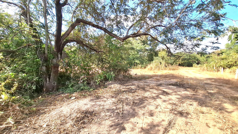 For Sale - ที่ดินสีแก้ว ร้อยเอ็ด, Roi Et