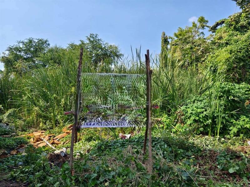 ขาย - ที่ดินเปล่า 200 ตร.ว. ที่ดิน ซอยเพื่อนกัน ถนนการประปานครหลวง, นนทบุรี