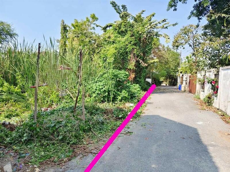 ขาย - ที่ดินเปล่า 200 ตร.ว. ที่ดิน ซอยเพื่อนกัน ถนนการประปานครหลวง, นนทบุรี