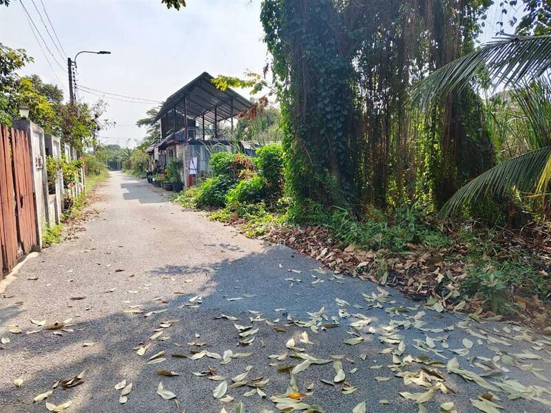 ขาย - ที่ดินเปล่า 200 ตร.ว. ที่ดิน ซอยเพื่อนกัน ถนนการประปานครหลวง, นนทบุรี