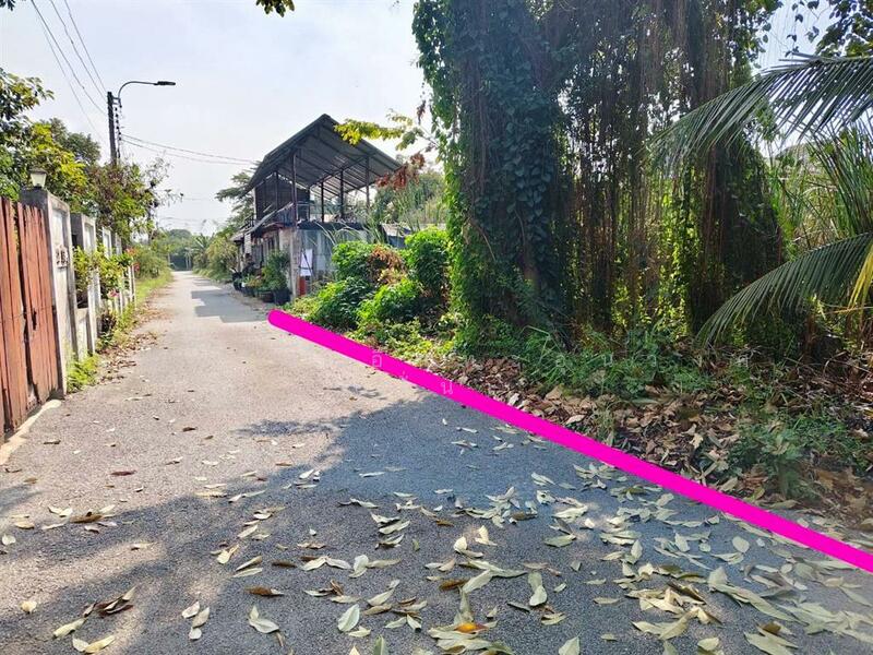 ขาย - ที่ดินเปล่า 200 ตร.ว. ที่ดิน ซอยเพื่อนกัน ถนนการประปานครหลวง, นนทบุรี