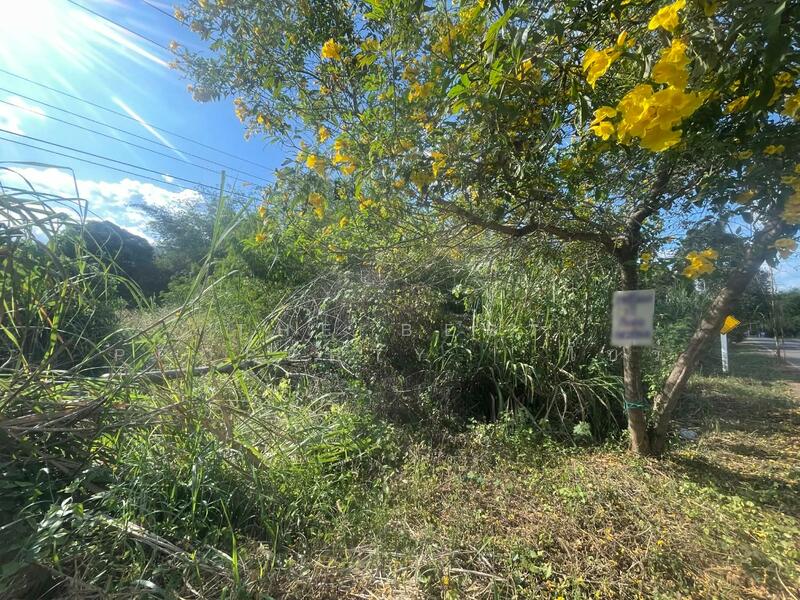 For Sale - ที่ดินทองผาภูมิ กาญจนบุรี, Kanchanaburi