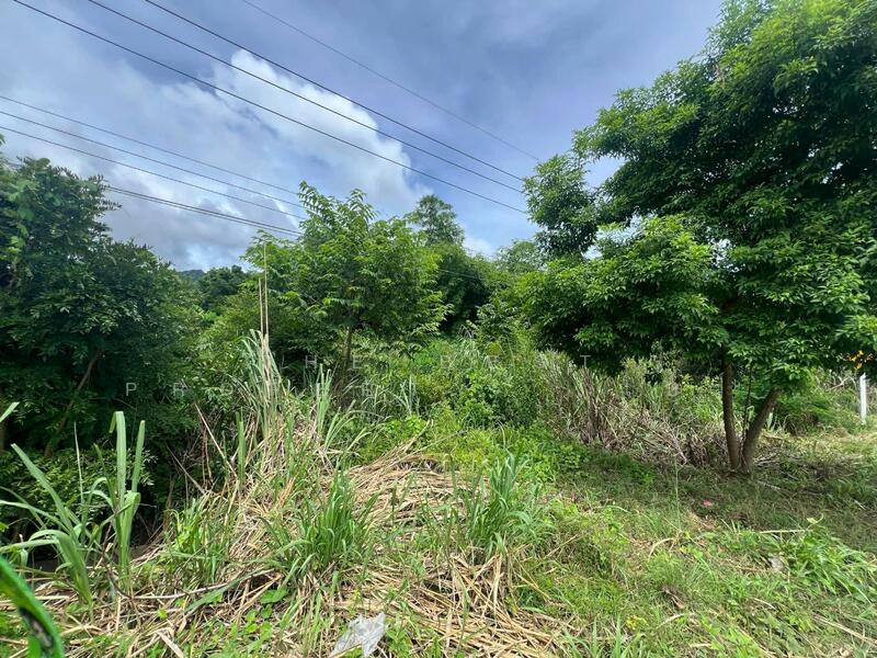 ขาย - ที่ดินทองผาภูมิ กาญจนบุรี, กาญจนบุรี