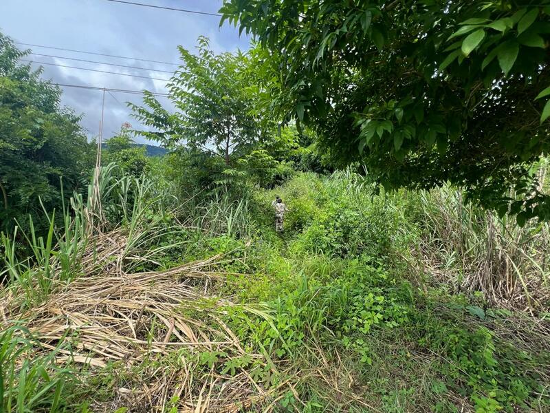 For Sale - ที่ดินทองผาภูมิ กาญจนบุรี, Kanchanaburi