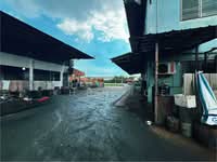 ขาย - ที่ดินพร้อมอาคารหนองแขม บางบอน, กรุงเทพ