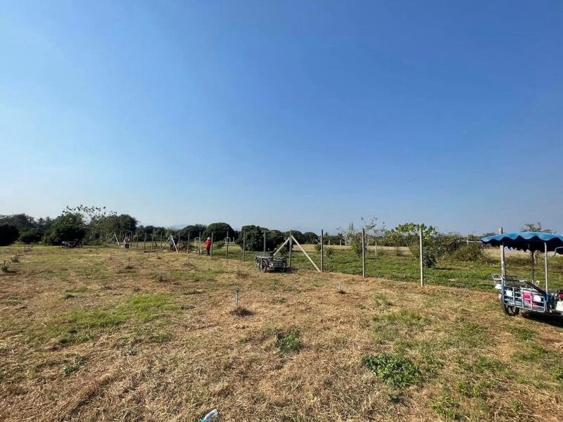 ขาย - ขายที่ดินถมแล้ว 20 ไร่ 3 งาน 32.4 ตร.ว. เป็นสวนเกษตร (ไม่เสียภาษีที่ดิน) ติดแม่น้ำแตง อ.แม่แตง จ.เชี, เชียงใหม่