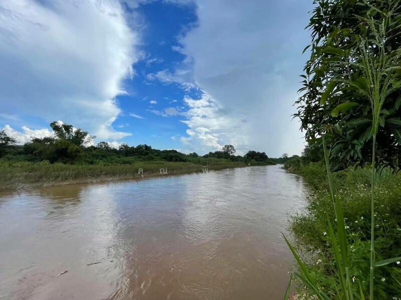 ขาย - ขายที่ดินถมแล้ว 20 ไร่ 3 งาน 32.4 ตร.ว. เป็นสวนเกษตร (ไม่เสียภาษีที่ดิน) ติดแม่น้ำแตง อ.แม่แตง จ.เชี, เชียงใหม่