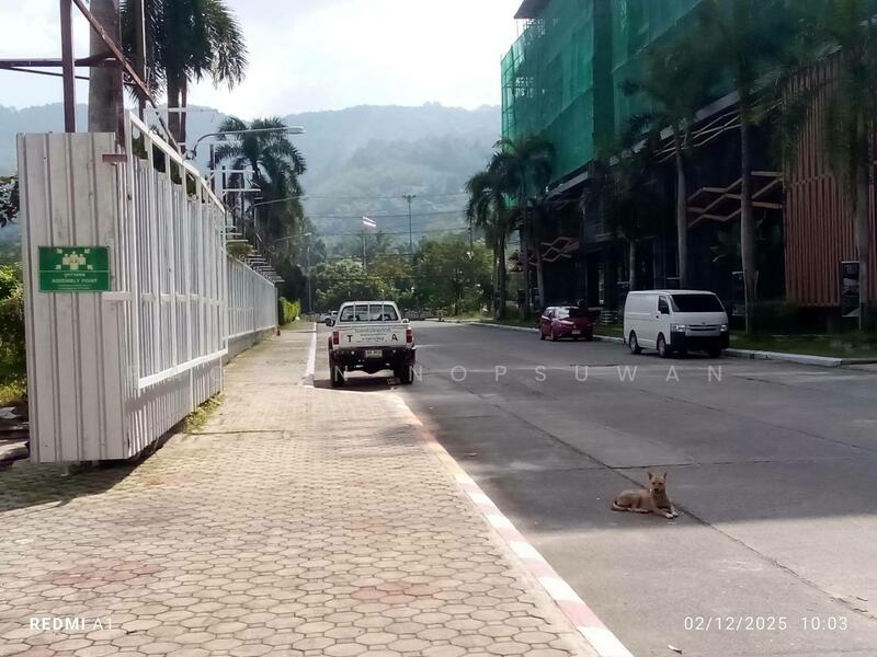 For Rent - Commercial buildings for rent in Koh Hong, areas unaffected by flooding., Songkhla