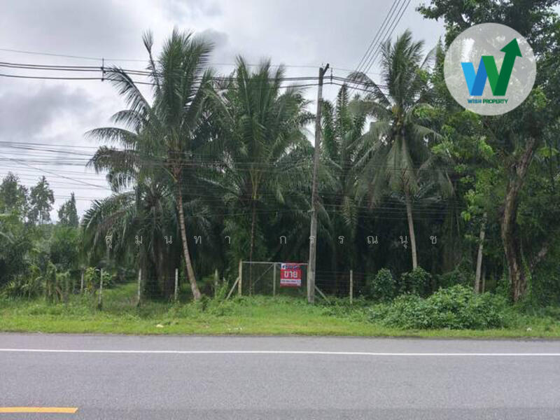 ขาย - ขายที่ดิน พร้อมสวนปาล์ม10ไร่55ตารางวา ควนขนุน, พัทลุง