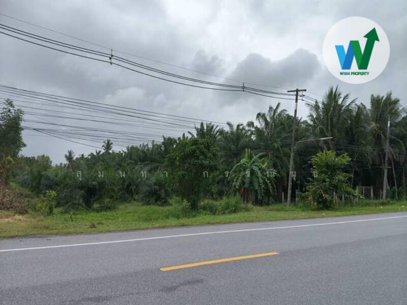 ขาย - ขายที่ดิน พร้อมสวนปาล์ม10ไร่55ตารางวา ควนขนุน, พัทลุง