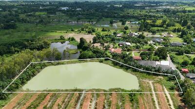 ขาย - ขายที่ดิน บ้านน้ำซับ ต.นาวังหิน พนัสนิคม ใกล้ตลาดน้ำ 3 วัง, ชลบุรี