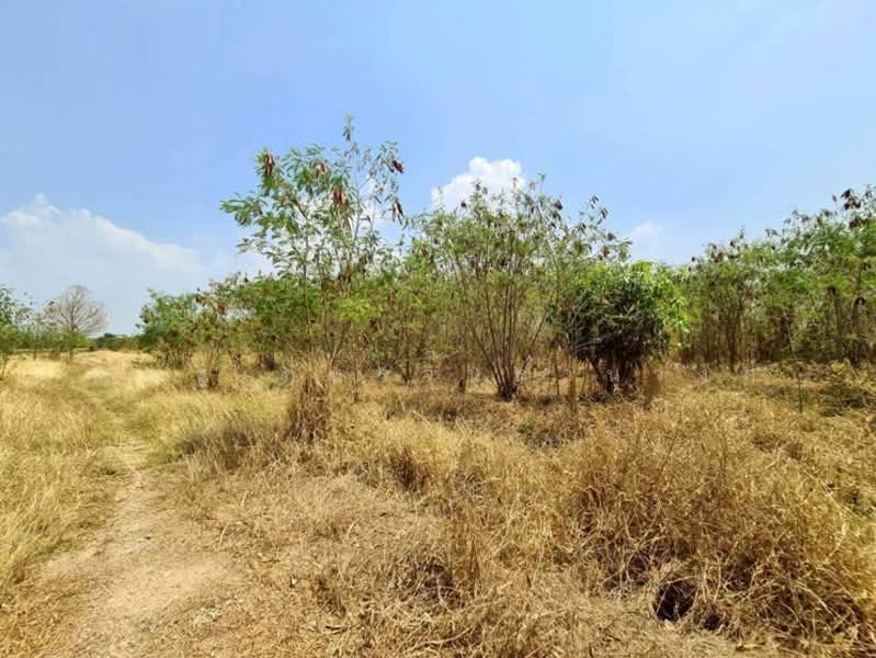 ต.พัฒนานิคม อ.พัฒนานิคม จ.ลพบุรี, Lop Buri, Phatthana Nikhom, Phatthana Nikhom, Lop Buri, , 3,048 sqm, Land For Sale, by ณณัฐ ภัทรจินดานุวงศ์, 500082916 - DDproperty.com