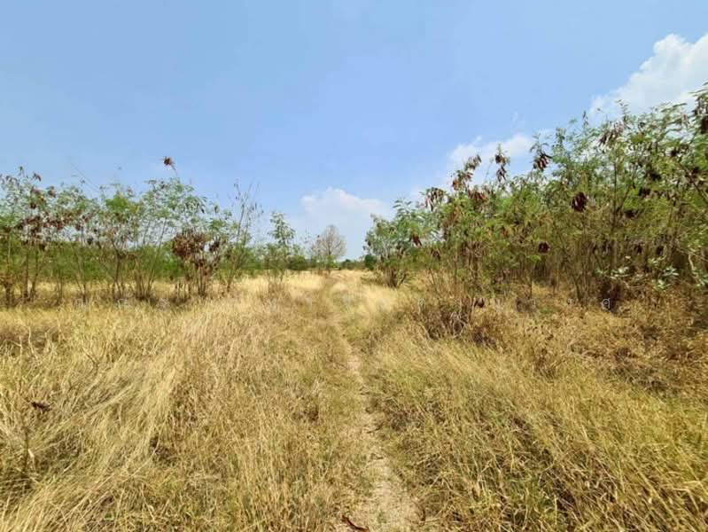 ต.พัฒนานิคม อ.พัฒนานิคม จ.ลพบุรี, Lop Buri, Phatthana Nikhom, Phatthana Nikhom, Lop Buri, , 3,048 sqm, Land For Sale, by ณณัฐ ภัทรจินดานุวงศ์, 500082916 - DDproperty.com