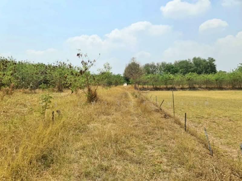 ต.พัฒนานิคม อ.พัฒนานิคม จ.ลพบุรี, Lop Buri, Phatthana Nikhom, Phatthana Nikhom, Lop Buri, , 3,048 sqm, Land For Sale, by ณณัฐ ภัทรจินดานุวงศ์, 500082916 - DDproperty.com