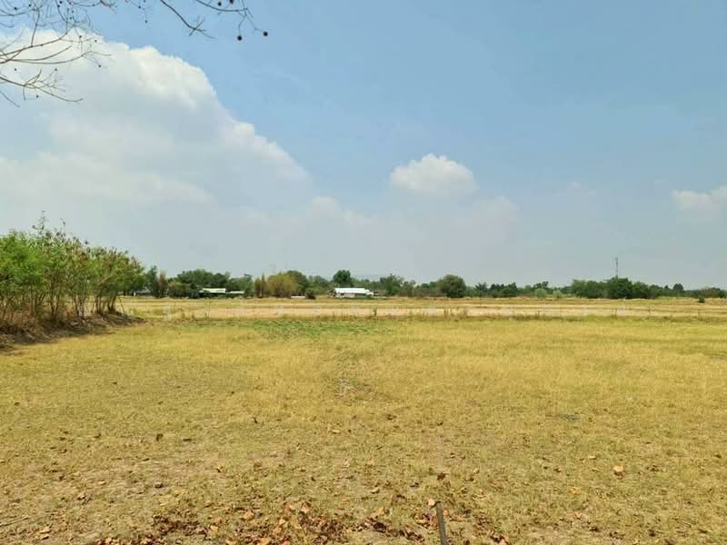 ต.พัฒนานิคม อ.พัฒนานิคม จ.ลพบุรี, Lop Buri, Phatthana Nikhom, Phatthana Nikhom, Lop Buri, , 3,048 sqm, Land For Sale, by ณณัฐ ภัทรจินดานุวงศ์, 500082916 - DDproperty.com