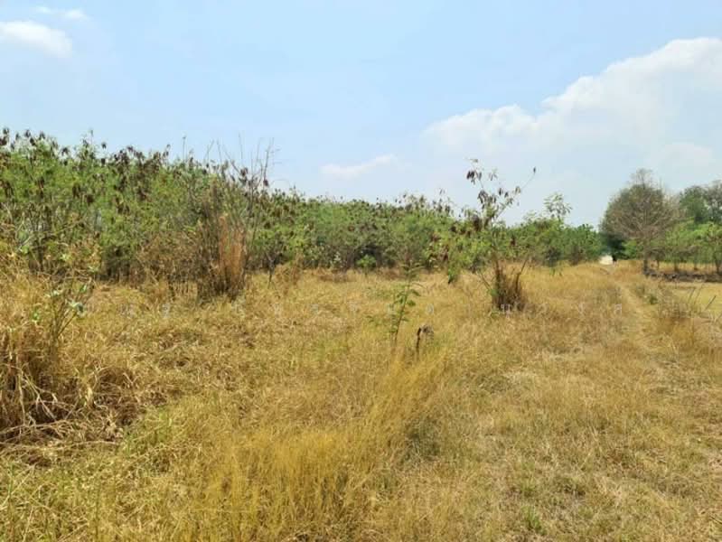ต.พัฒนานิคม อ.พัฒนานิคม จ.ลพบุรี, Lop Buri, Phatthana Nikhom, Phatthana Nikhom, Lop Buri, , 3,048 sqm, Land For Sale, by ณณัฐ ภัทรจินดานุวงศ์, 500082916 - DDproperty.com
