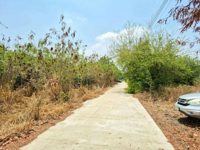 ต.พัฒนานิคม อ.พัฒนานิคม จ.ลพบุรี, Lop Buri, Phatthana Nikhom, Phatthana Nikhom, Lop Buri, , 3,048 sqm, Land For Sale, by ณณัฐ ภัทรจินดานุวงศ์, 500082916 - DDproperty.com
